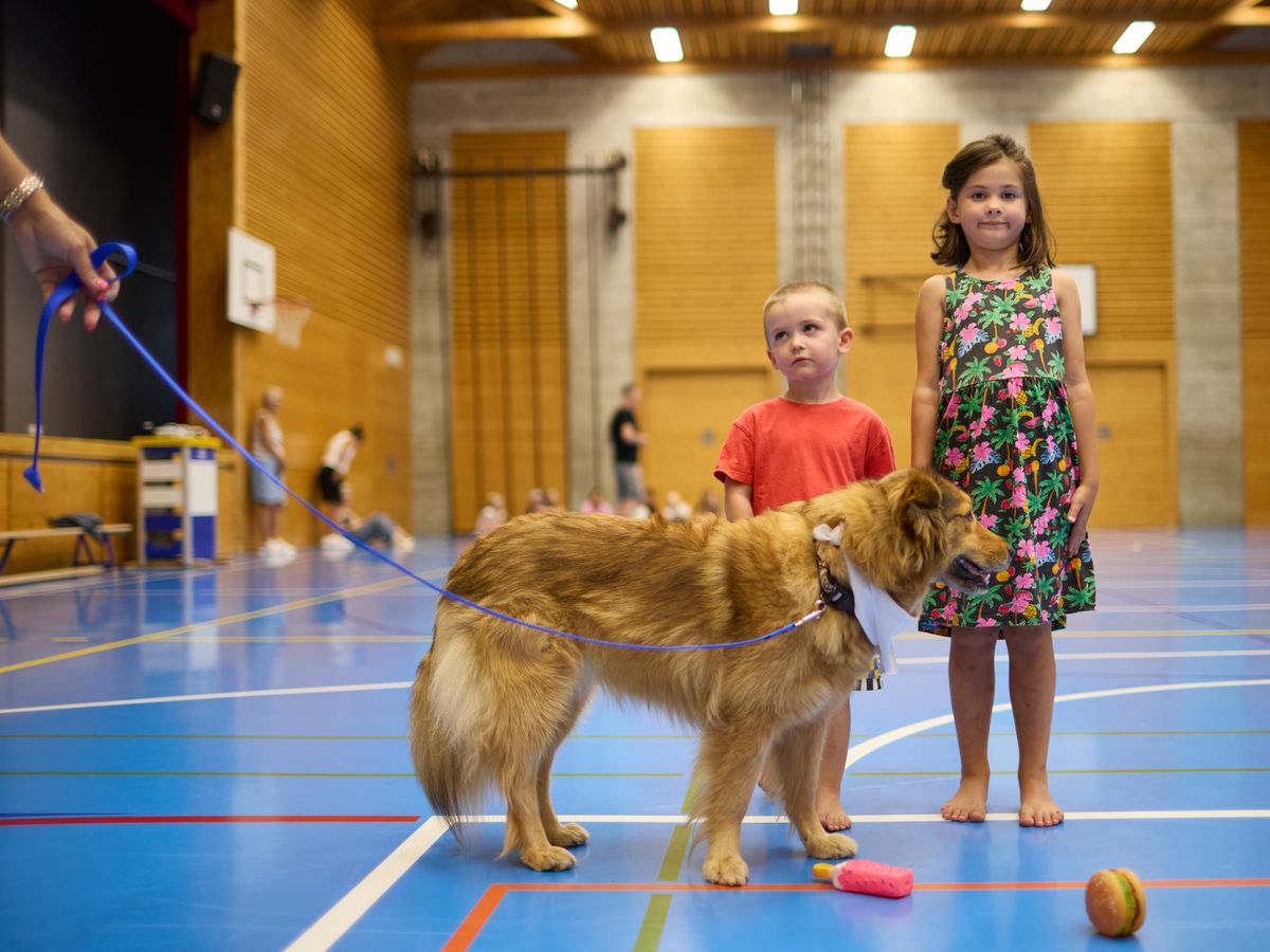 Poliez-Pittet, le 13 août 2024. Cours de prévention des accidents par morsures pour les enfants dans le cadre du passeport vacances. Exercice : comment faire le poireau et lâcher son goûter, avec Nathalie et son chien Macha.     Photo Yvain Genevay / Le Matin Dimanche