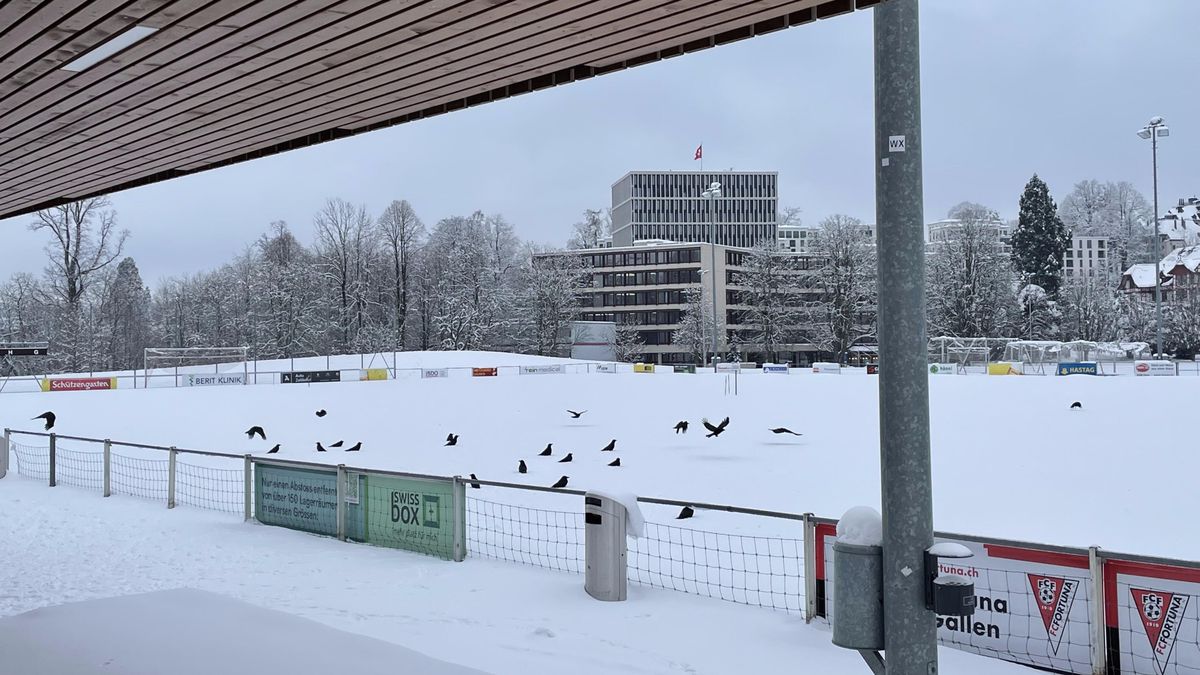 Kr-hen-Hotspot-auf-der-Kreuzbleiche-alles-ist-versch-ssen-