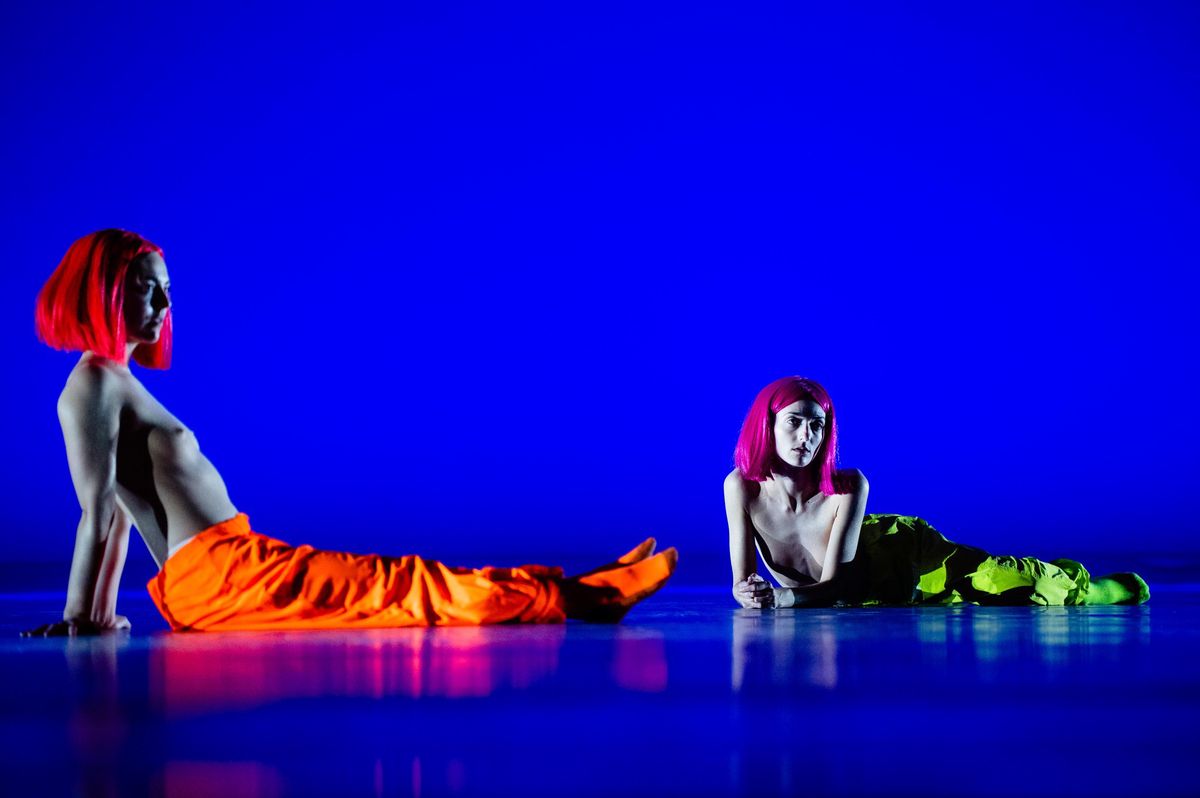 Bern Festival Tanz in Bern zum Thema «Ensemble» Der Bund