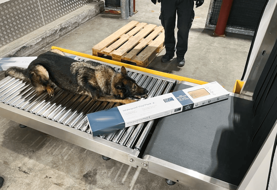 Flughafen Zürich: Spürhund findet 128 Kilo Haschisch aus den USA