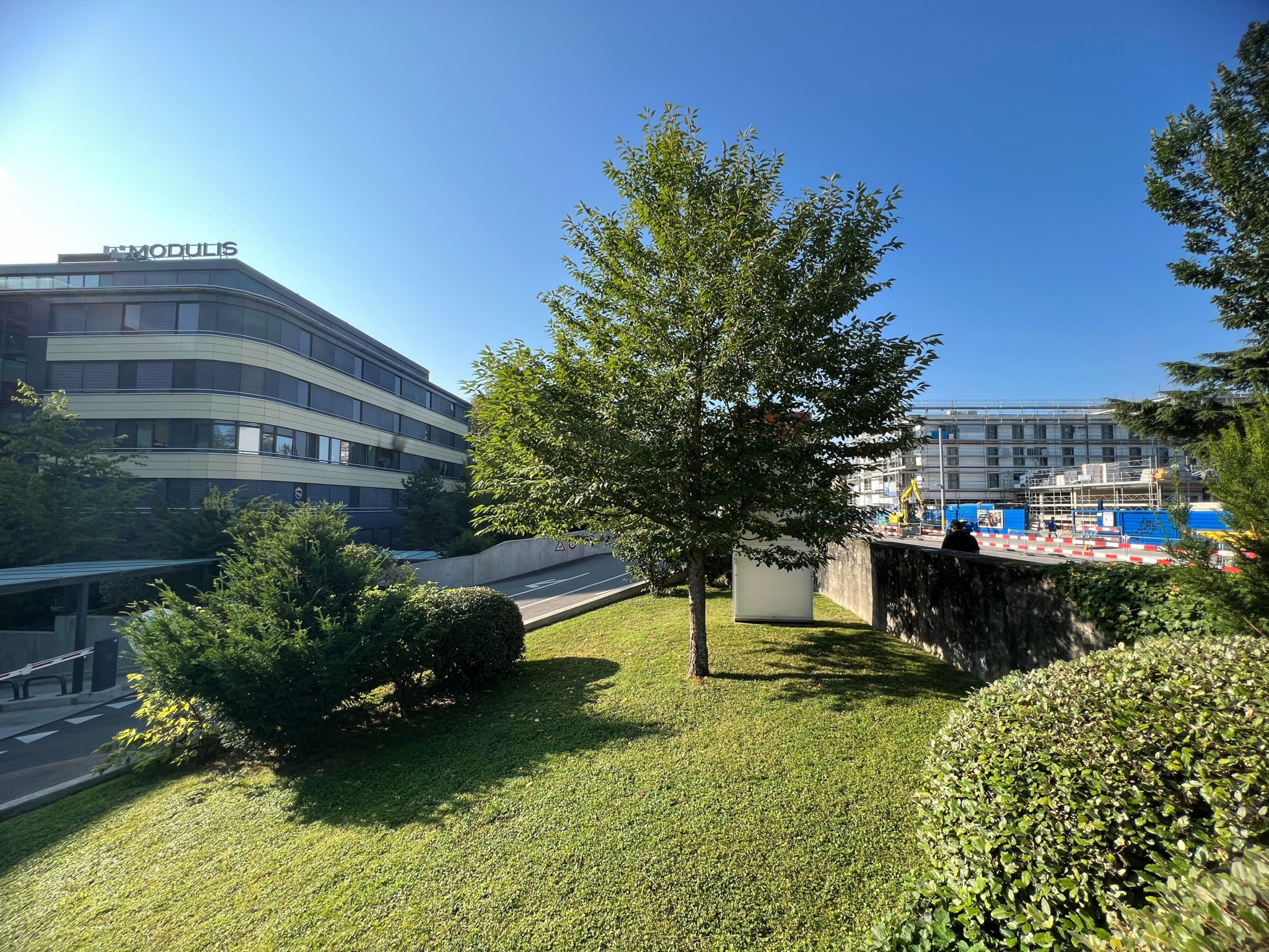 Un bâtiment moderne avec l'inscription 'Modulis' à gauche, un arbre central et un chantier de construction à droite par une journée ensoleillée.