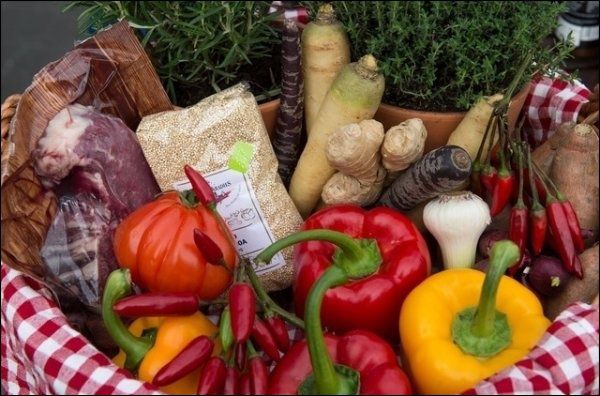 Les cultures maraîchères ont été victimes du climat.