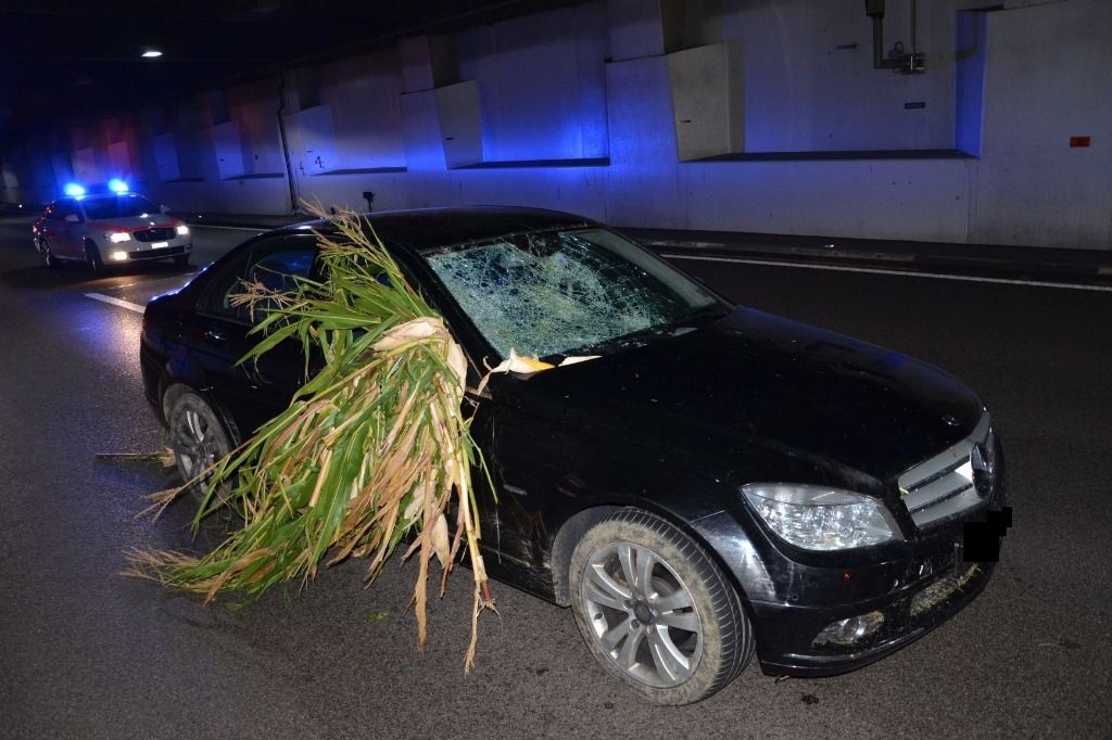 Après une virée dans le maïs, il se fait arrêter