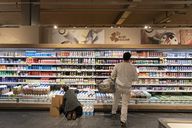 Vernachlässigter Basiskonsumsektor: Aktien des täglichen Verbrauchs: schwierige Jahre ohne Ende?