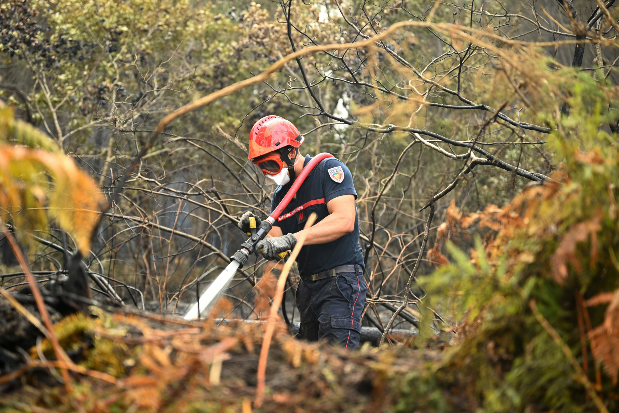 Canicules, sécheresse et incendies: L’été a coûté 16 milliards d’euros à la France