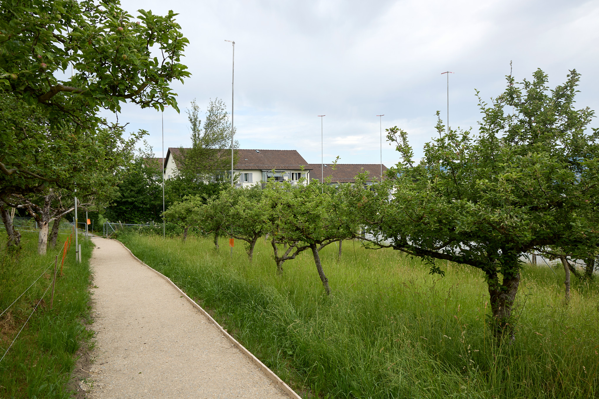 Gemeindeversammlung am 11. Juni: Drei geplante Asylunterkünfte spalten Horgen – und die SVP rekurriert