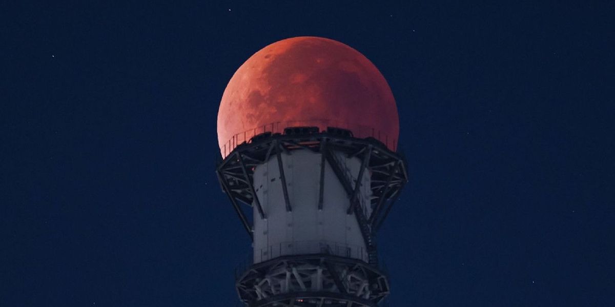 Total lunar eclipse: The most beautiful pictures of the blood moon