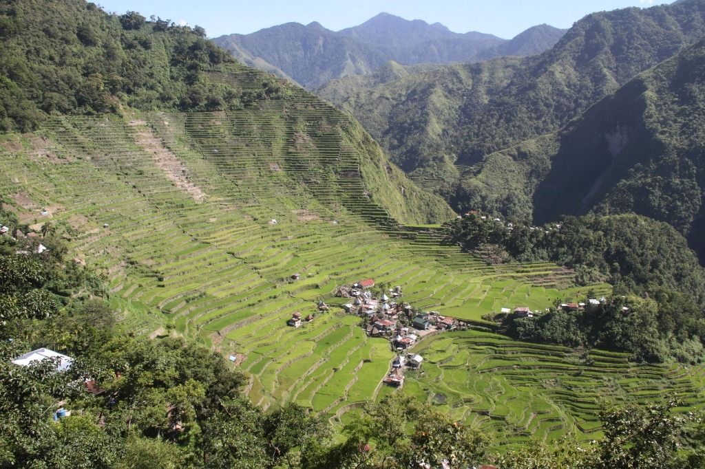 Le camion des fiançailles tombe dans un ravin