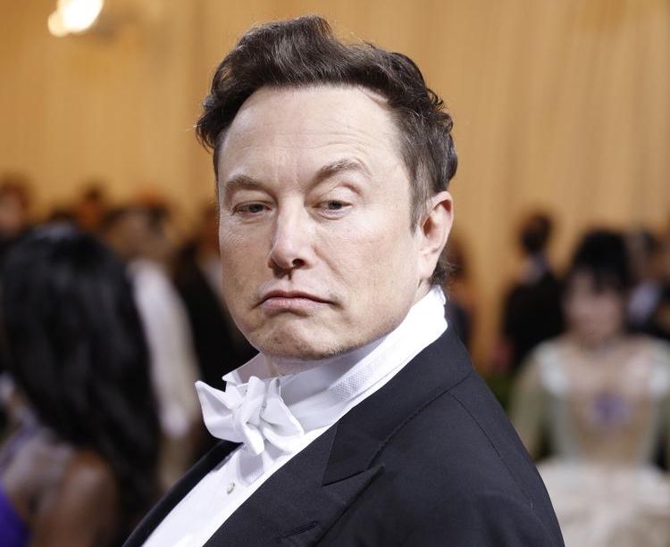 Elon-Musk-Biografie: So liest sich das neue Buch über den Tesla-Chef