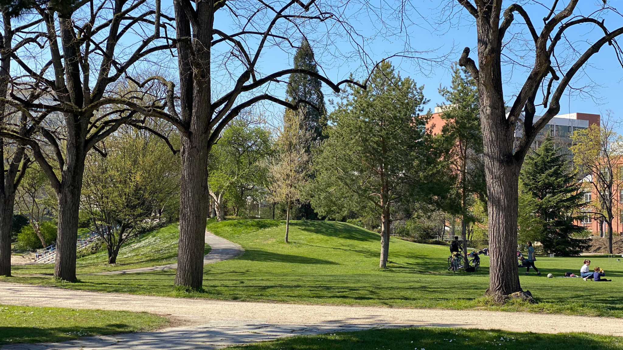 Vergewaltigung im Horburgpark: «Ihr Notruf war eindrücklich» – Berufungsgericht erhöht Strafe für Täter