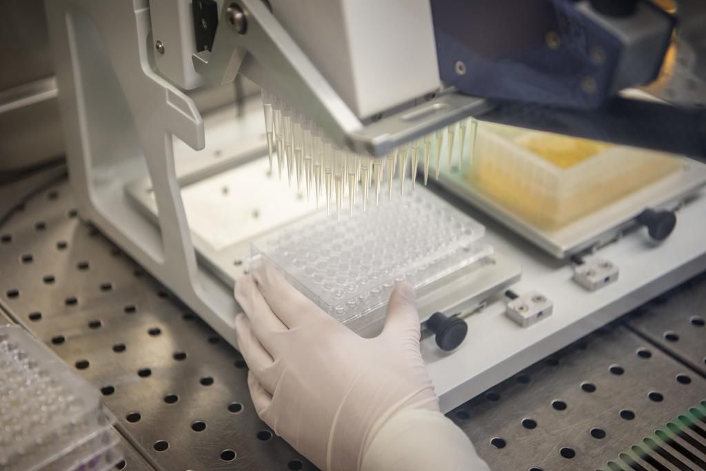 Polyphor Polyphor soll zu Spexis werden