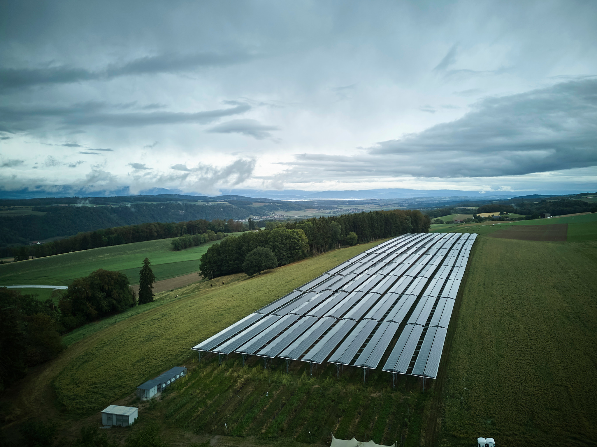 Vaud: la plus grande ferme solaire agricole de Suisse a été inaugurée