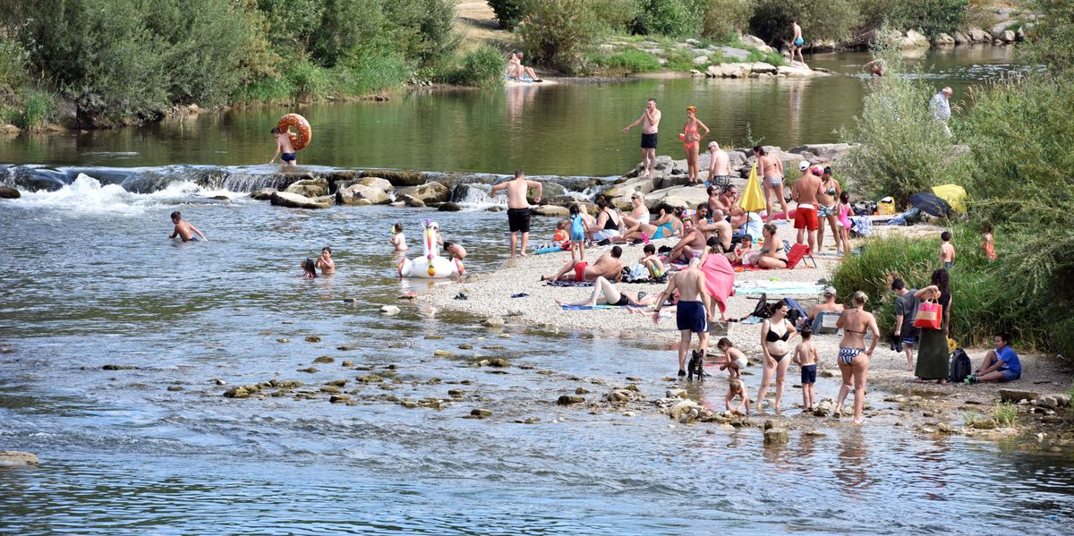 um-fische-zu-sch-tzen-kein-baden-in-der-birs-am-birsk-pfli-ab-sofort-bade-und-fischereiverbot