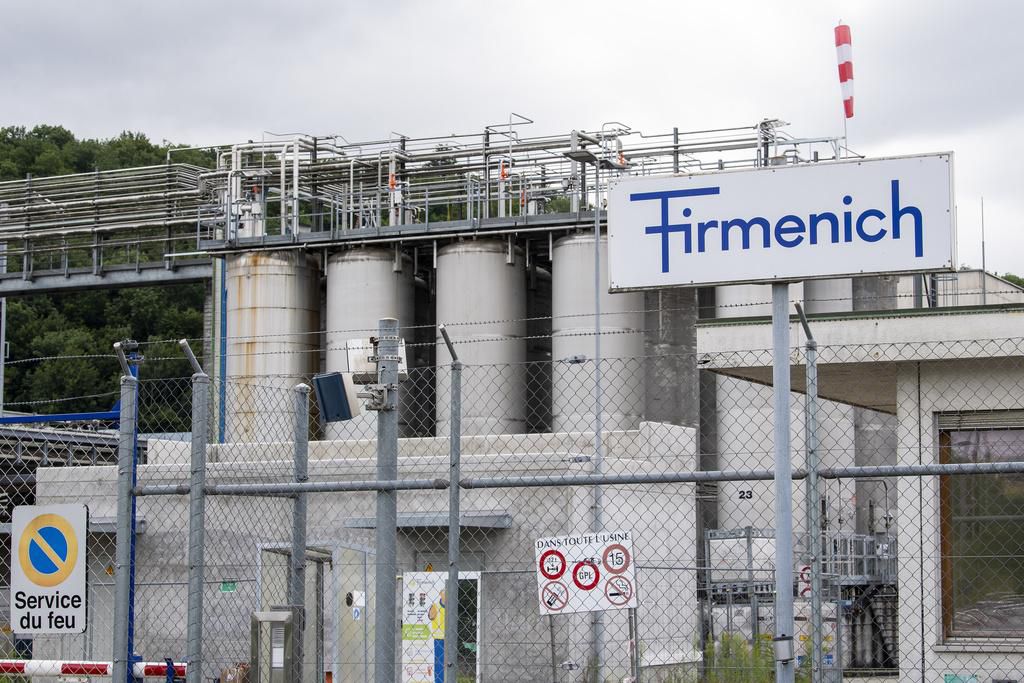 DSM und Firmenich stellen Geschäftsleitung vor Finanz und Wirtschaft