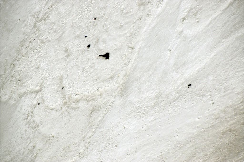 Les corps de sept alpinistes retrouvés dans l'Himalaya