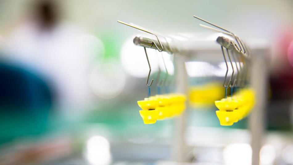 Sonova enteilt der Konkurrenz Finanz und Wirtschaft