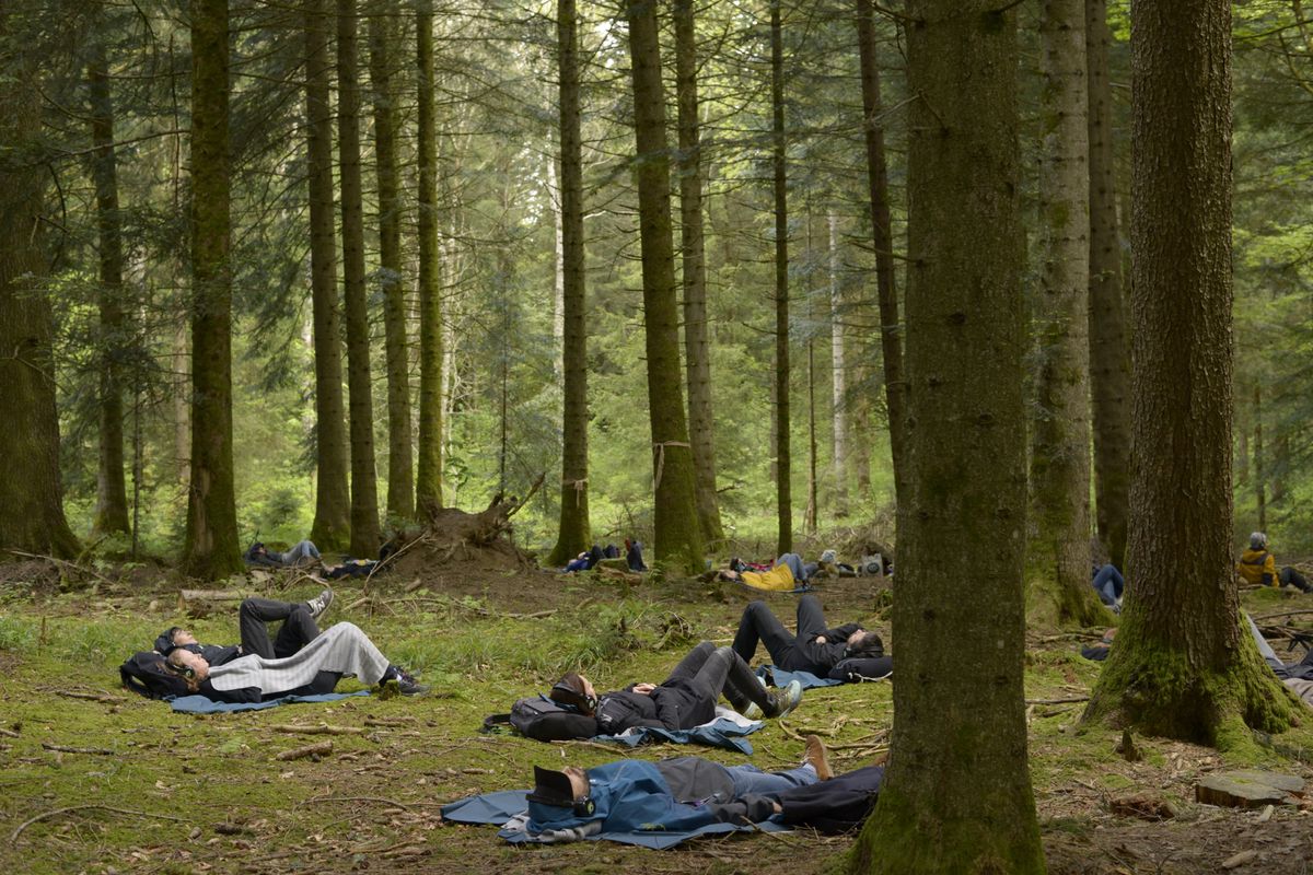 Première étape de la randonnée artistique «Paysage partagé», celle imaginée par le metteur en scène Stefan Kaegi, qui invite les participants à se coucher pour, regards vers les cimes, écouter la conversation entre un forestier, une chanteuse japonaise, un météorologue évoquant la transformation en cours de la forêt, une psychanalyste se penchant sur l’inconscient de cet univers ou encore un petit enfant.