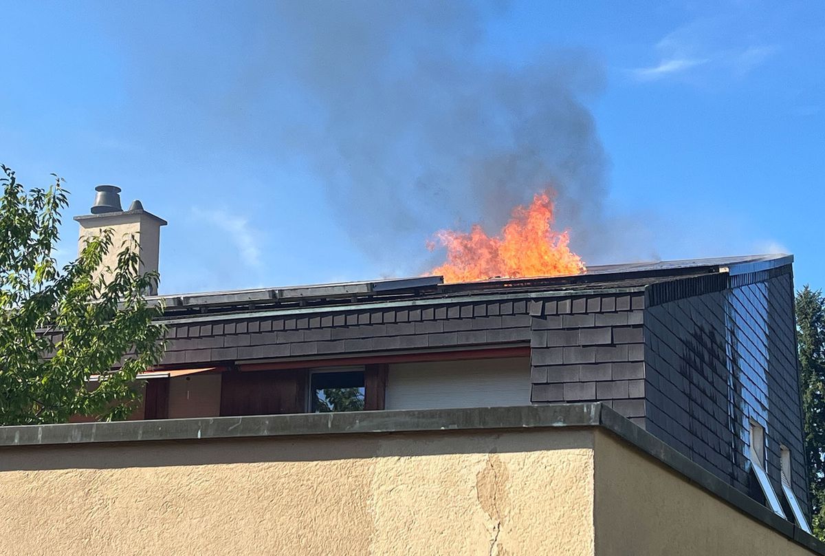 grosseinsatz-in-reinach-rieche-rauch-bis-zu-mir-feuerwehr-rettet-katze-aus-einfamilienhaus