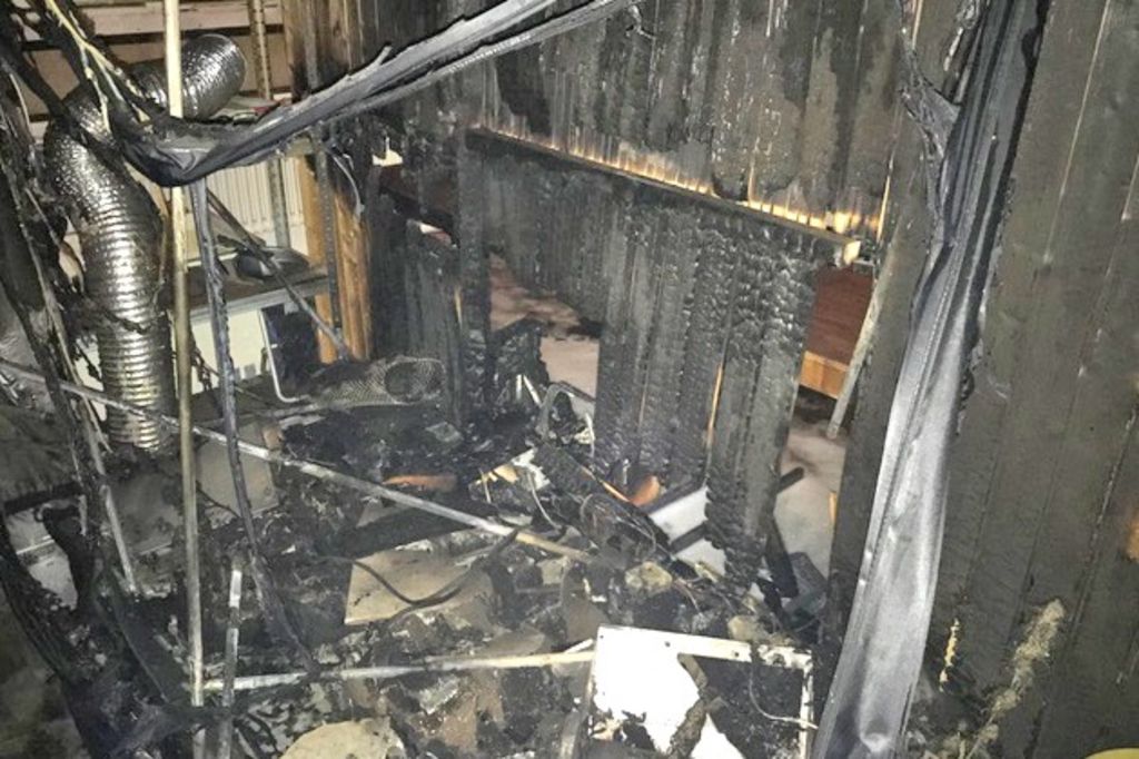 Les pompiers découvrent des plants de cannabis