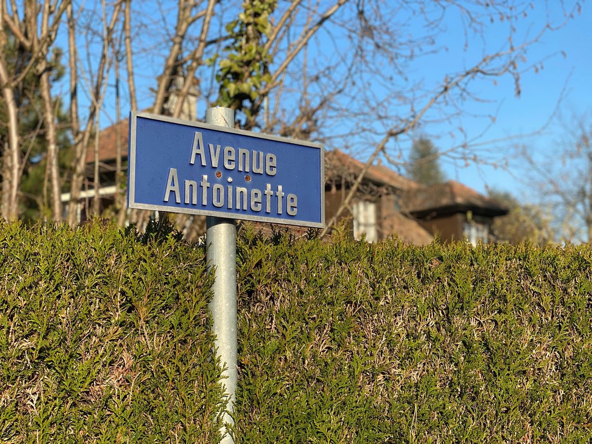 Une trentaine de logements bordent l’Avenue Antoinette.