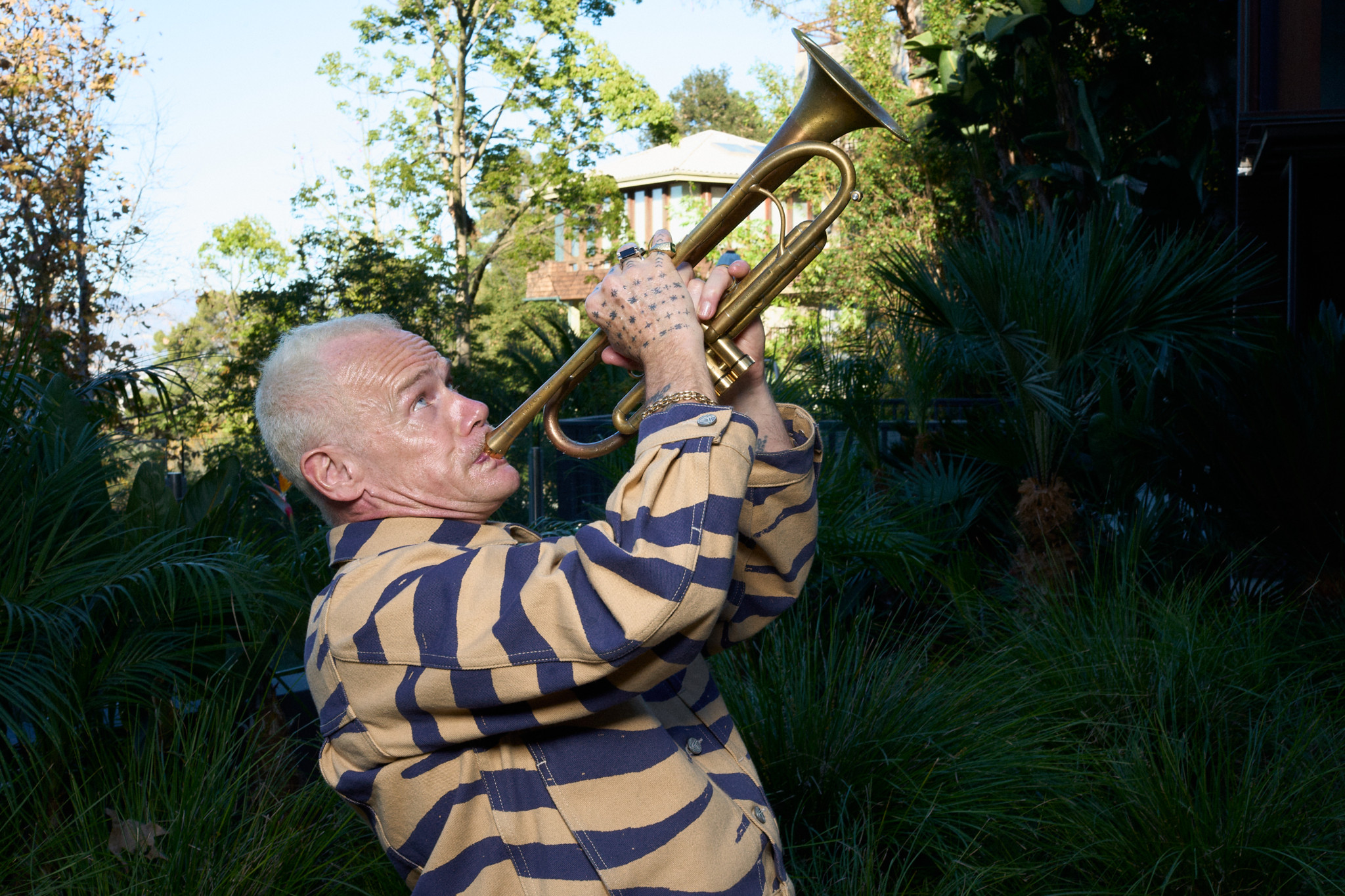 Solodebüt von Flea: Der Chili-Peppers-Kobold greift zur Jazz-Trompete