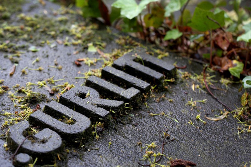 Le Musée des Beaux-Arts de Berne va vendre deux biens immobiliers issus de l'héritage Gurlitt, dont un appartement à Munich et une maison à Salzbourg. La vente doit couvrir les coûts engendrés par le legs. (Mardi 6 juin 2017)
