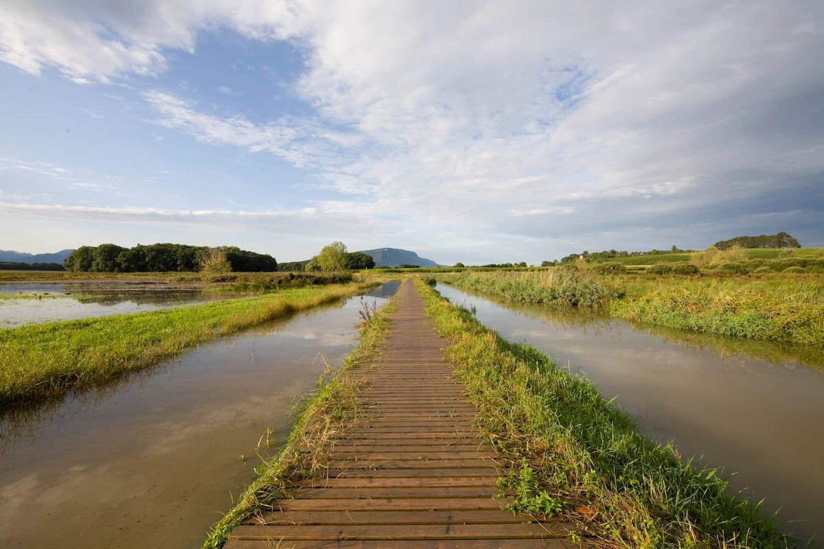 Une vue de la Seymaz et ses cheminements dans sa partie haute, du côté des marais de Sionnet.