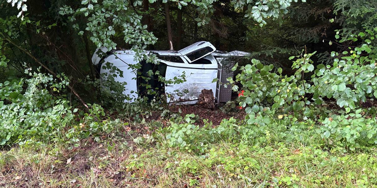 Unfall-in-K-lliken-Fahrer-l-sst-demolierten-Pick-up-in-B-schung-liegen-und-kehrt-erst-am-Morgen-zur-ck