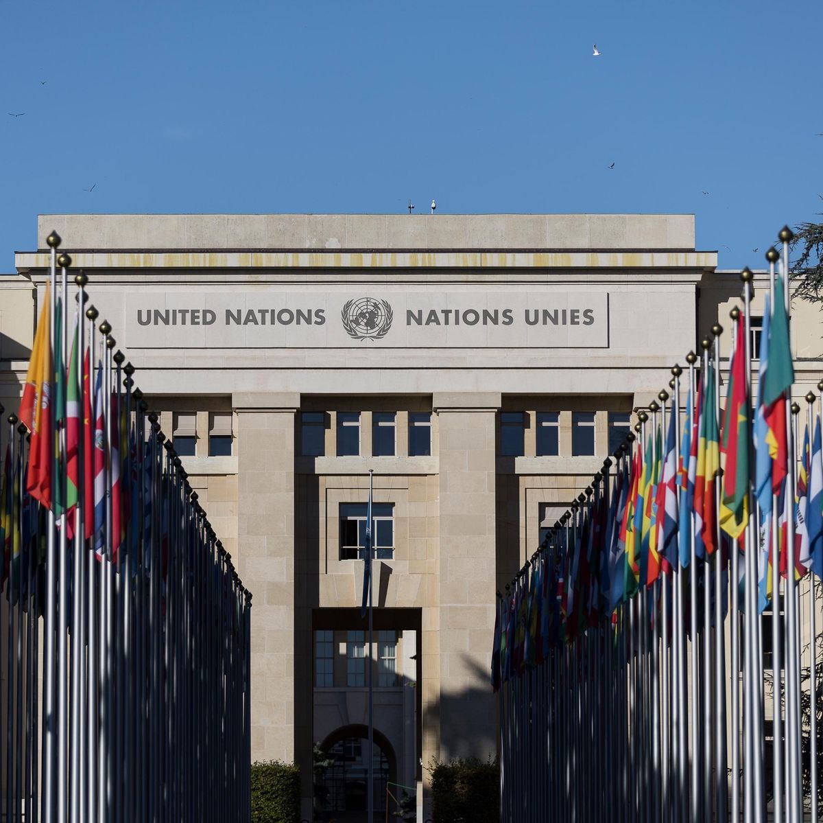 Alignement de drapeaux devant le bâtiment de l’ONU à Genève, lors d’une manifestation contre la guerre en Ukraine, avec la participation du commandant ukrainien Serhii Tsisaruk, le 4 octobre 2022.