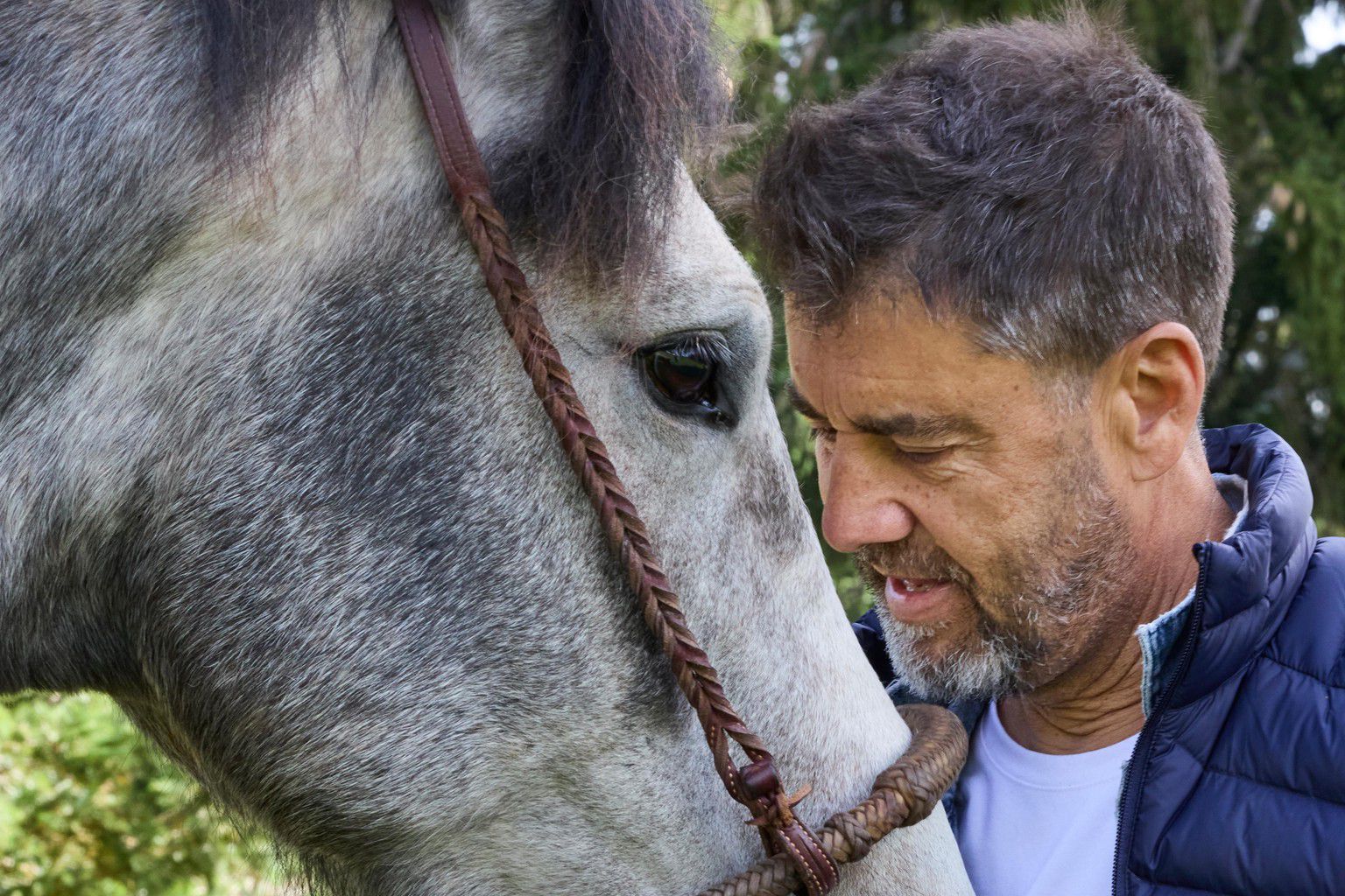 Un homme aux cheveux bruns, portant une veste bleue, touche doucement le front d'un cheval franche-montagne gris nommé Éclair, sous un arbre à Lignerolle.