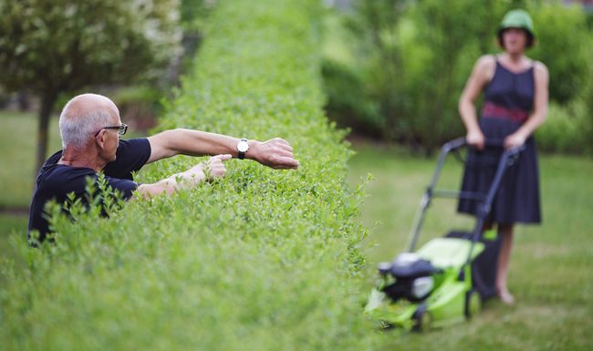  Ein Mann zeigt an einer Hecke auf seine Uhr waehrend seine Nachbarin den Rasen maeht. Martinroda, 28.07.2013. Model Release vorhanden, model released. Martinroda Deutschland PUBLICATIONxINxGERxSUIxAUTxONLY Copyright: xThomasxTrutschelx