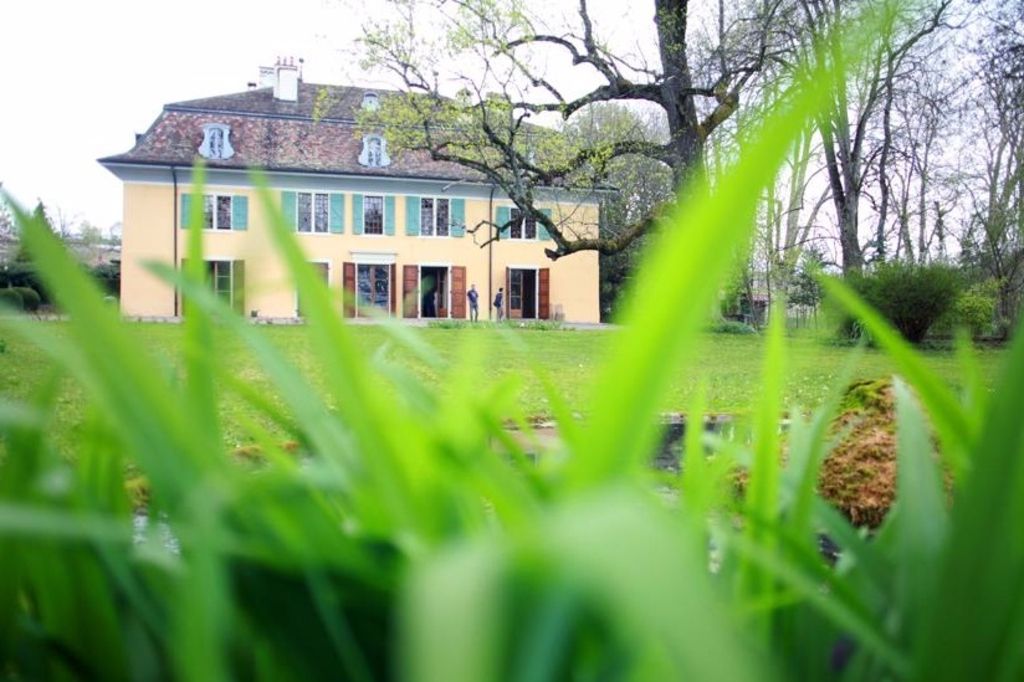 Quand la chicorée à café était fabriquée à Satigny