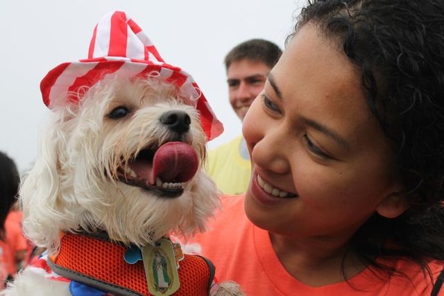 L'étude a consisté à faire jouer le maître avec trois objets différents et à mesurer les réactions de l'animal.