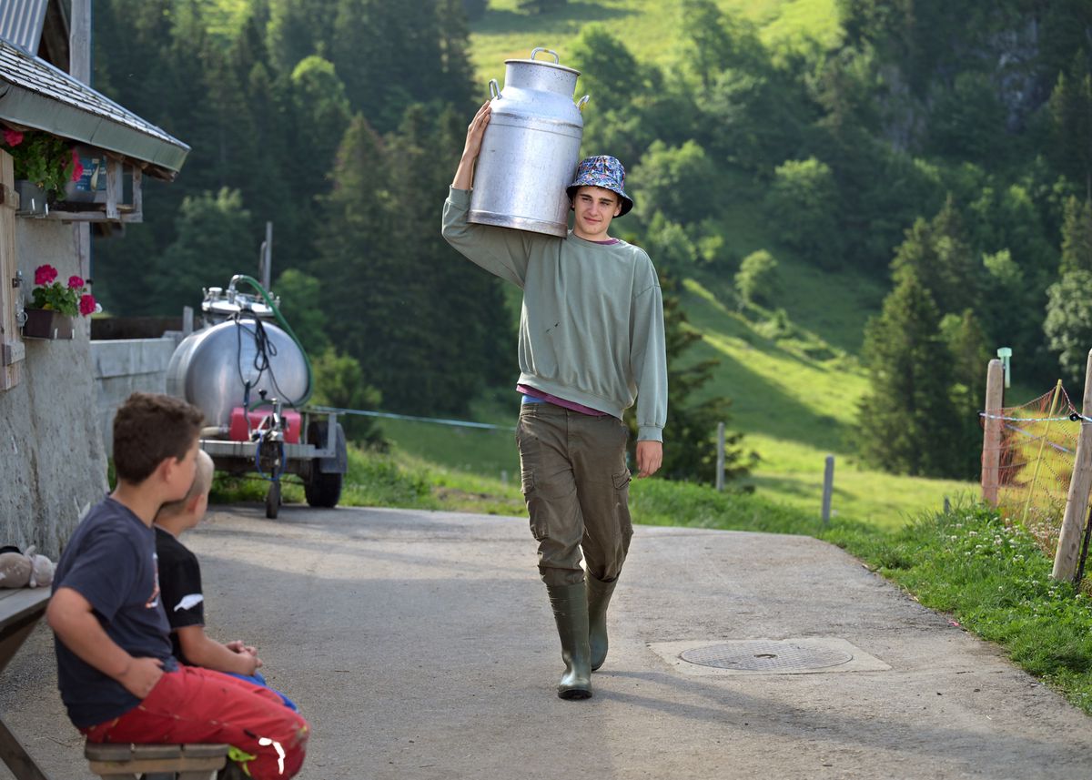 Les Agittes, le 11 juillet 2024.  Agé de 16 ans, Milo Abplanalp, bernois, vient passer quelques semaines à l'alpage de Tompey dans le cadre du programme Volontaires à la montagne pour aider la famille de Mélanie et Florian Ziörjen dans leur travail quotidien. 24HEURES/Chantal Dervey