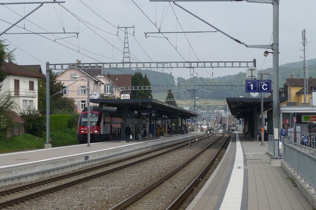 vieillard-pouss-sur-les-voies-les-cff-la-caisse