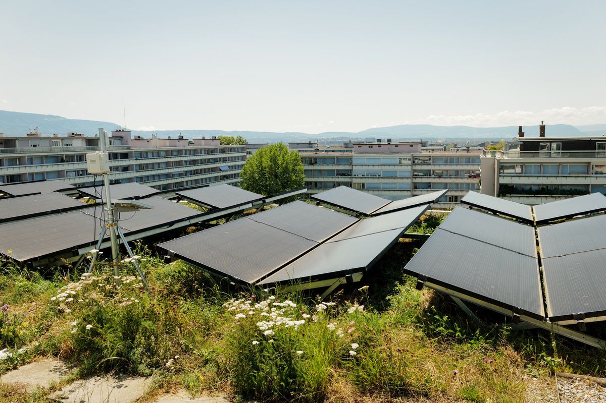 Genève, le 23 juillet 2024.  Visite d'un toit biosolaire au ch. François-Lehmann 2-4, au Grand-Saconnex. Avec des panneaux photovoltaïques.