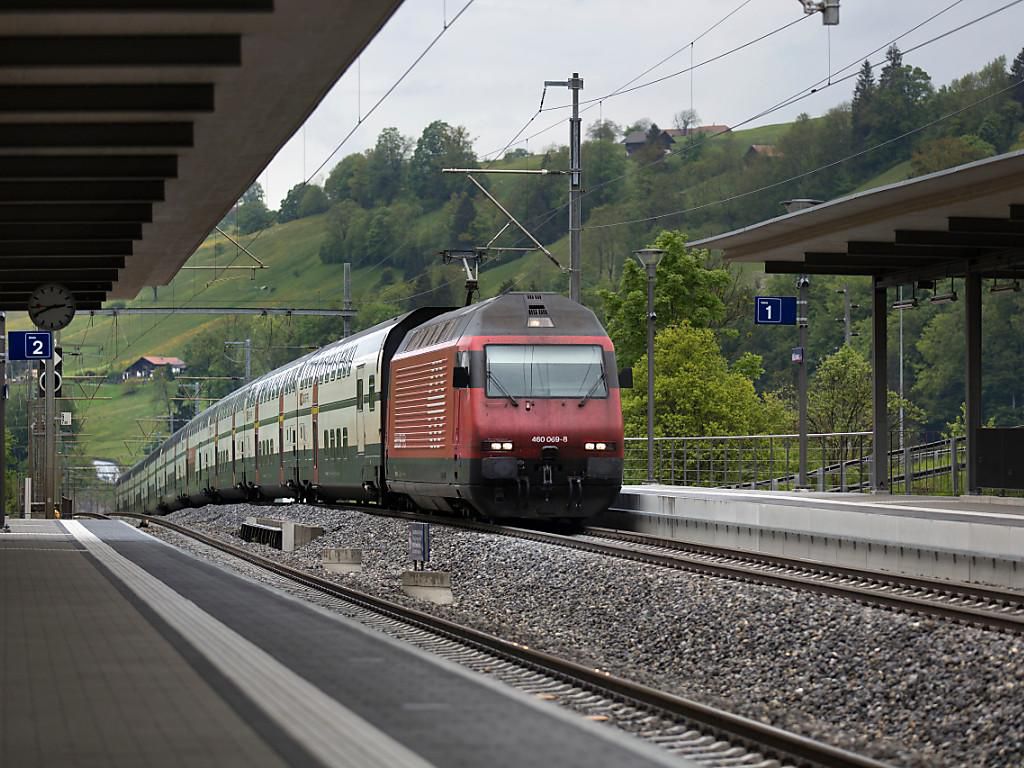 La chienne a été happée et tuée par un train (image d'illustration).