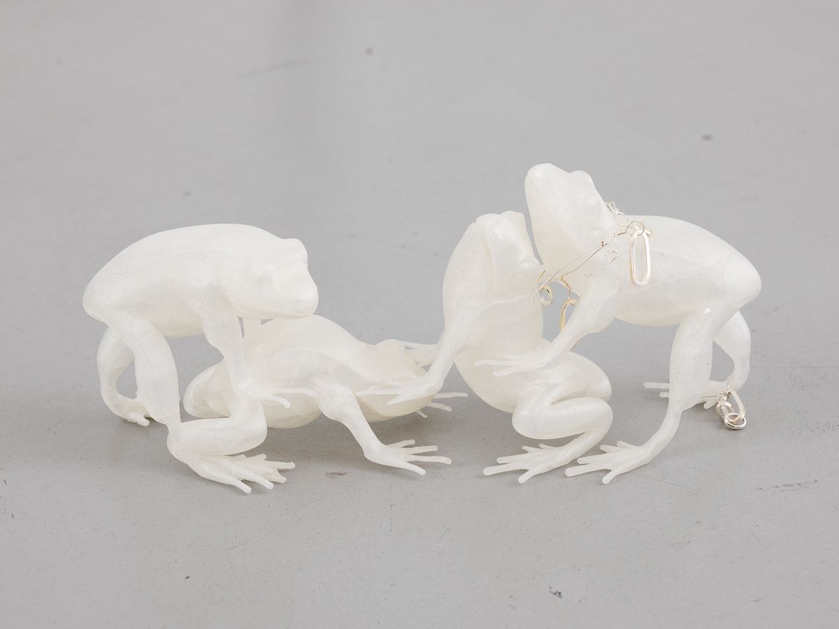 Quand les rapports de force s’incarnent dans les animaux