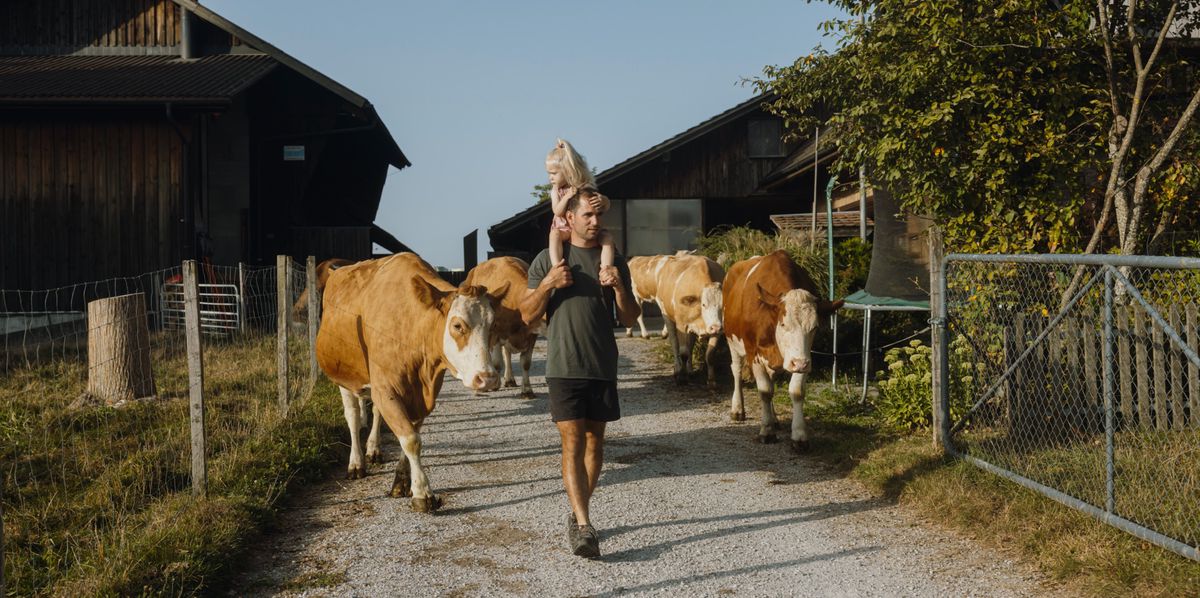 Als Tobias Burren seine Kuh im Stall rufen hörte, wusste er, jetzt ist Schluss