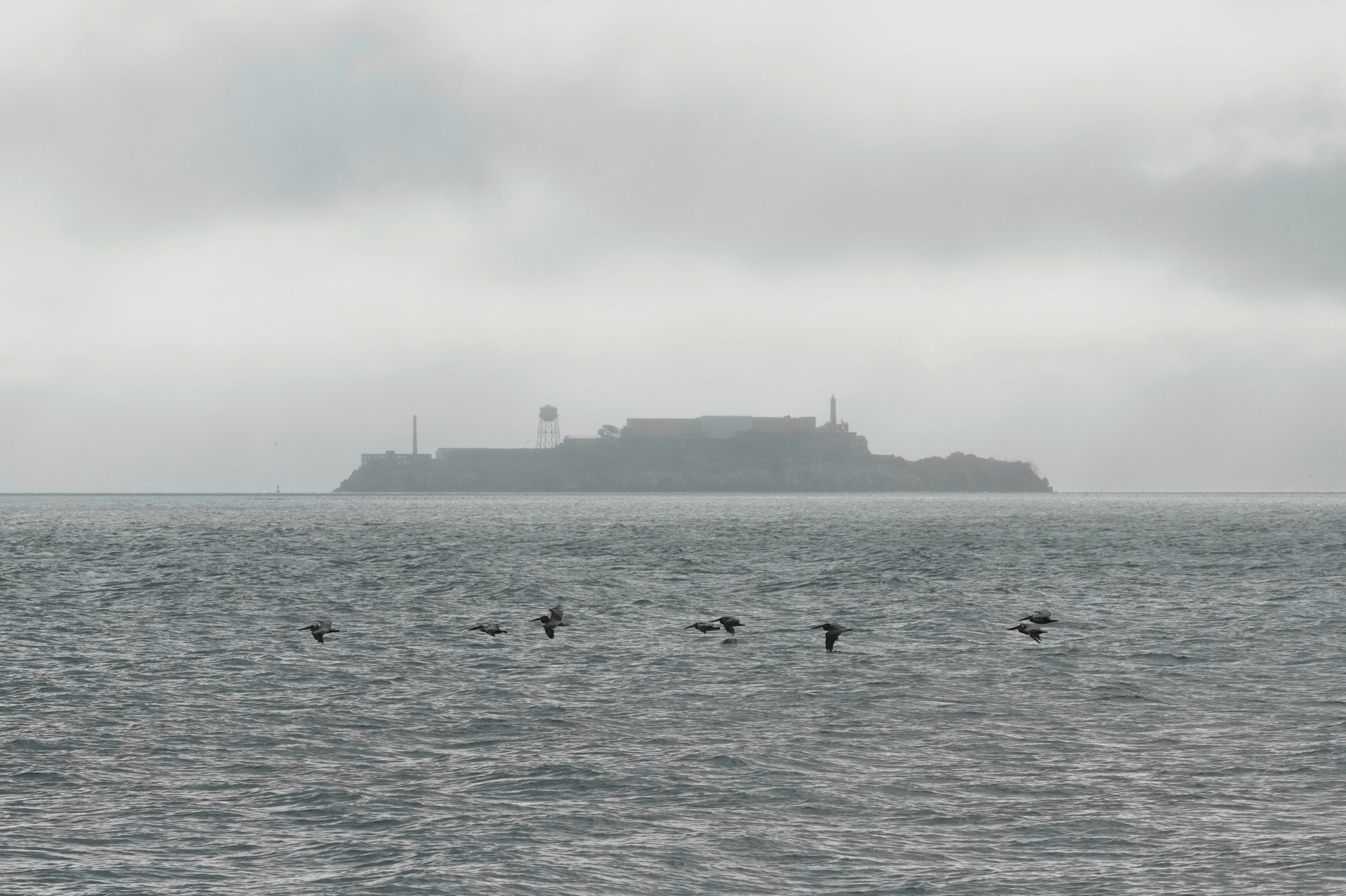 «Symbol für Recht und Ordnung»: Alcatraz wieder als Gefängnis ausbauen: Trump beantragt Geld