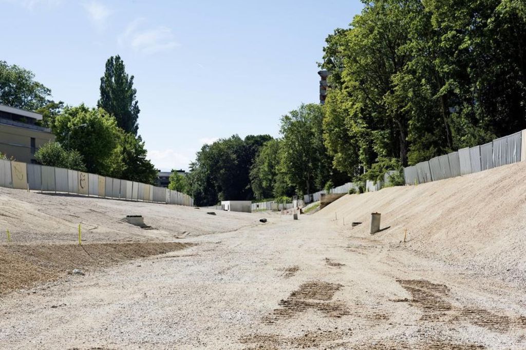 La voie verte verra refleurir ses espèces végétales menacées