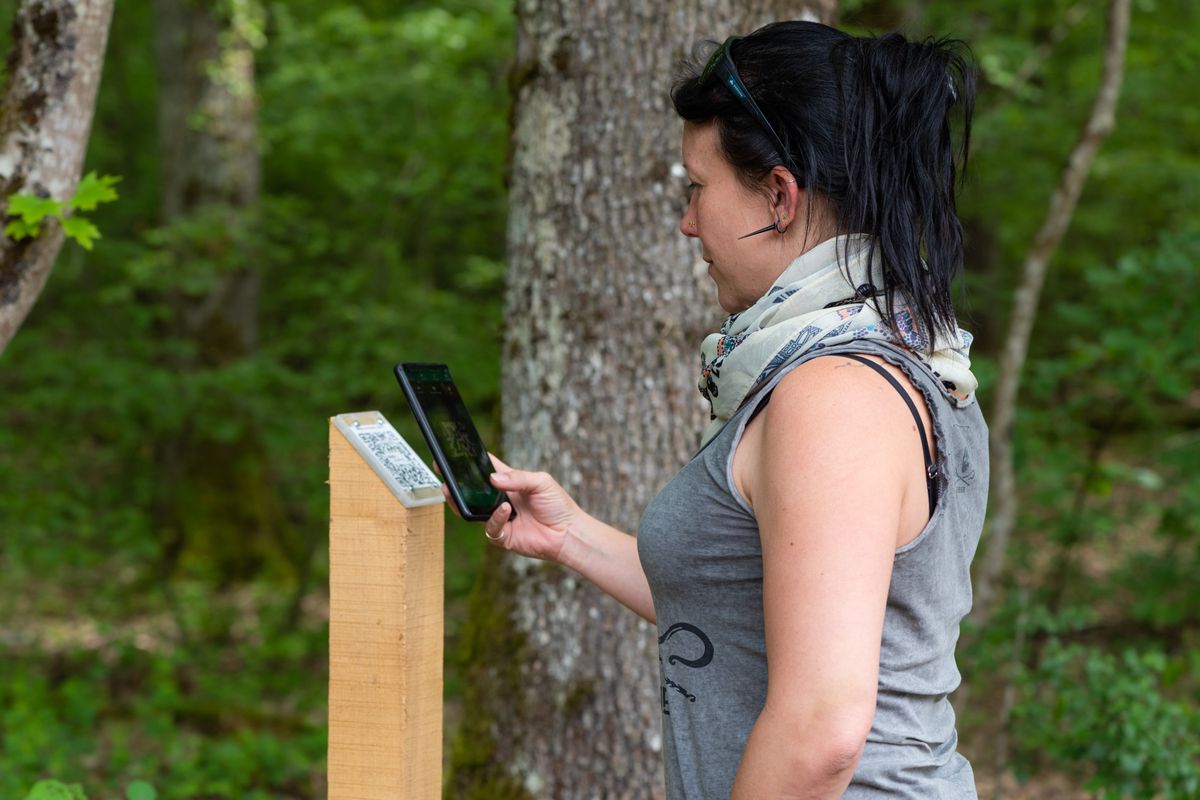 Découvrir la nature avec son guide personnel dans sa poche