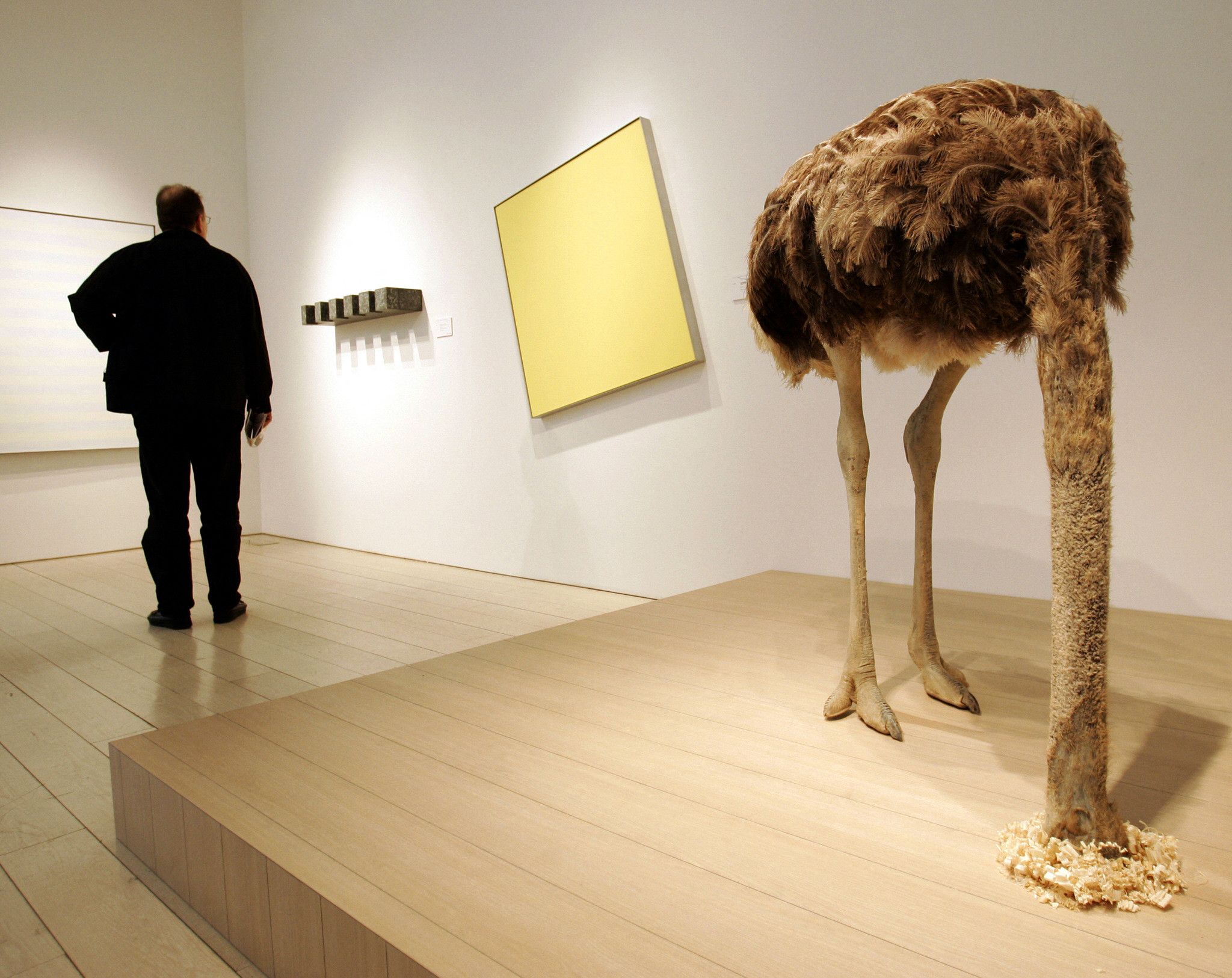A gallery patron views art work near a piece titled "Ostrich" by Maurizio Cattelan during the preview 09 May 2005 of Christie's New York Post-War and Contemporary Art Sale to take place 11 May 2005.  It is considered to be the biggest contemporary and modern art sale of all time. AFP PHOTO  Timothy A. CLARY (Photo by TIMOTHY A. CLARY / AFP)