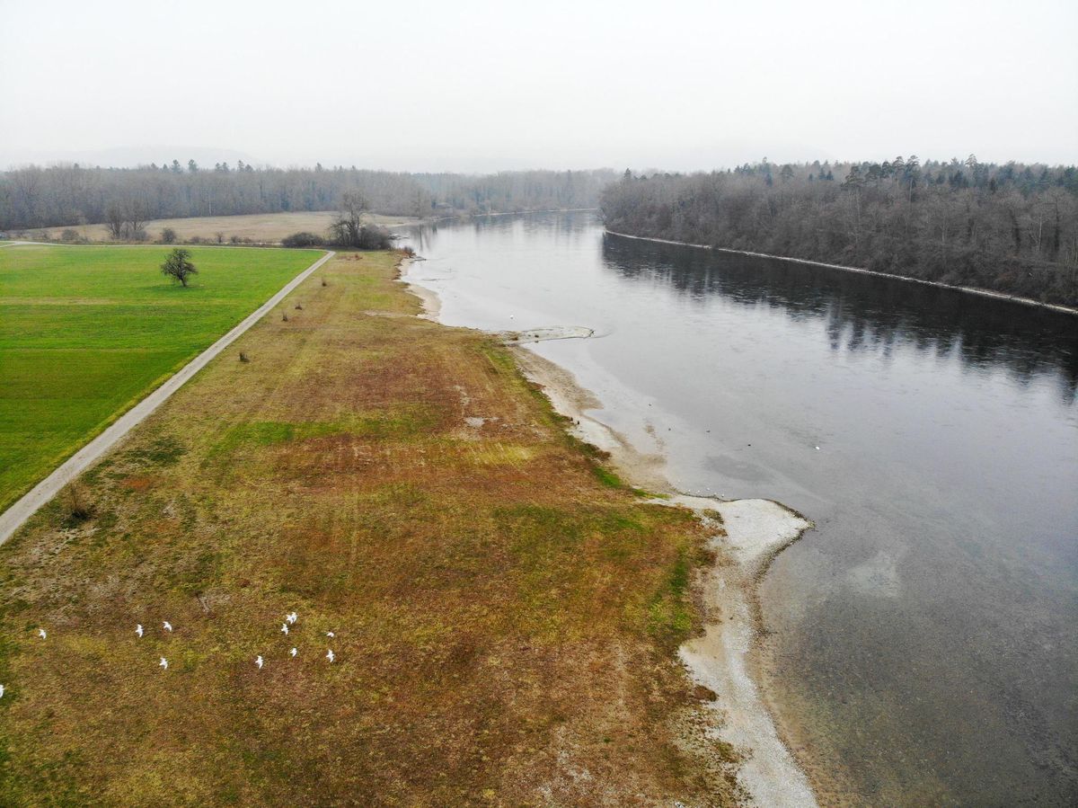 Weinland im Kantonsrat  Umstrittener Damm gegen Stechmcken erst 2024  wieder Thema