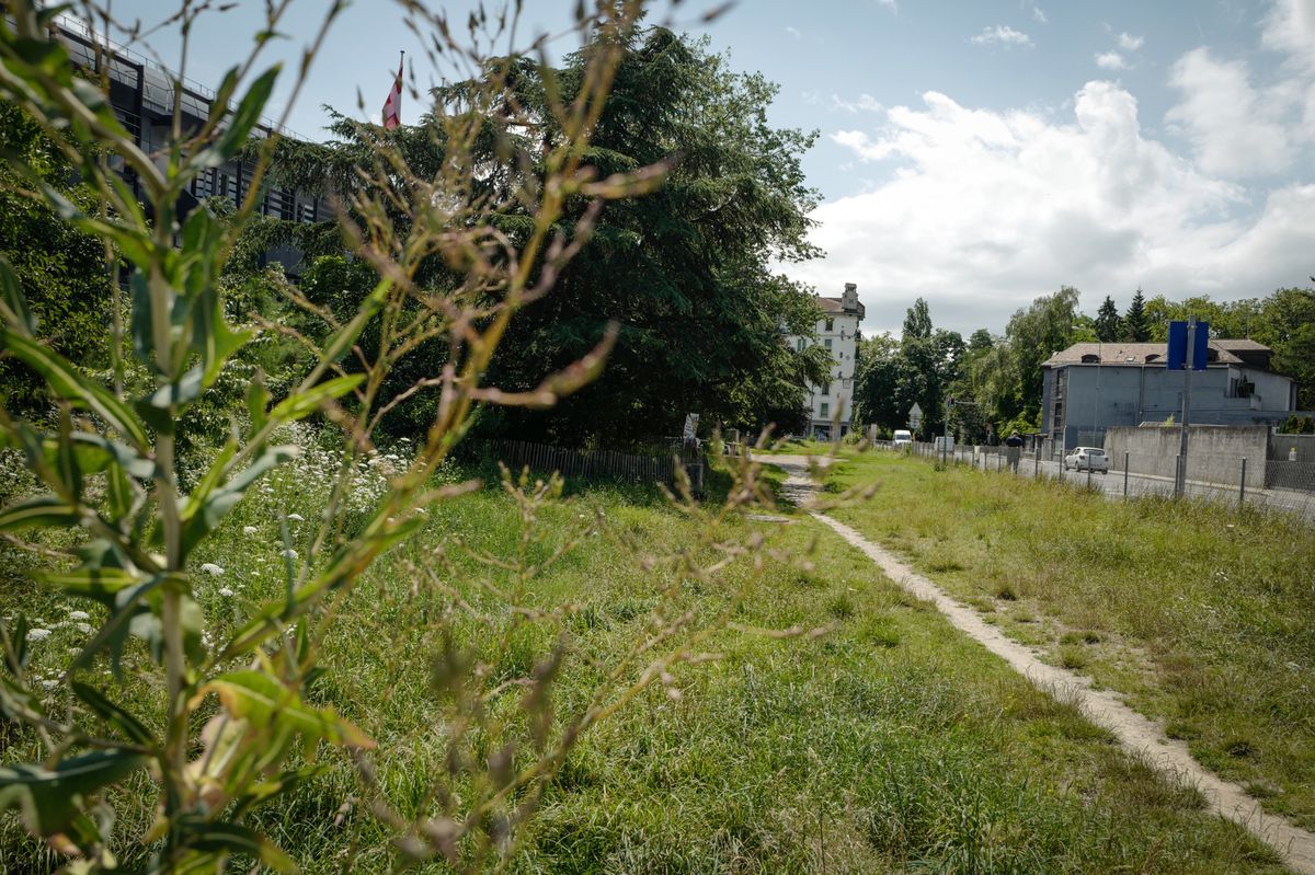 Parc à chiens actuel à Genève, rue de Montbrillant, destiné à devenir un skate parc, avec herbe et chemin visible.