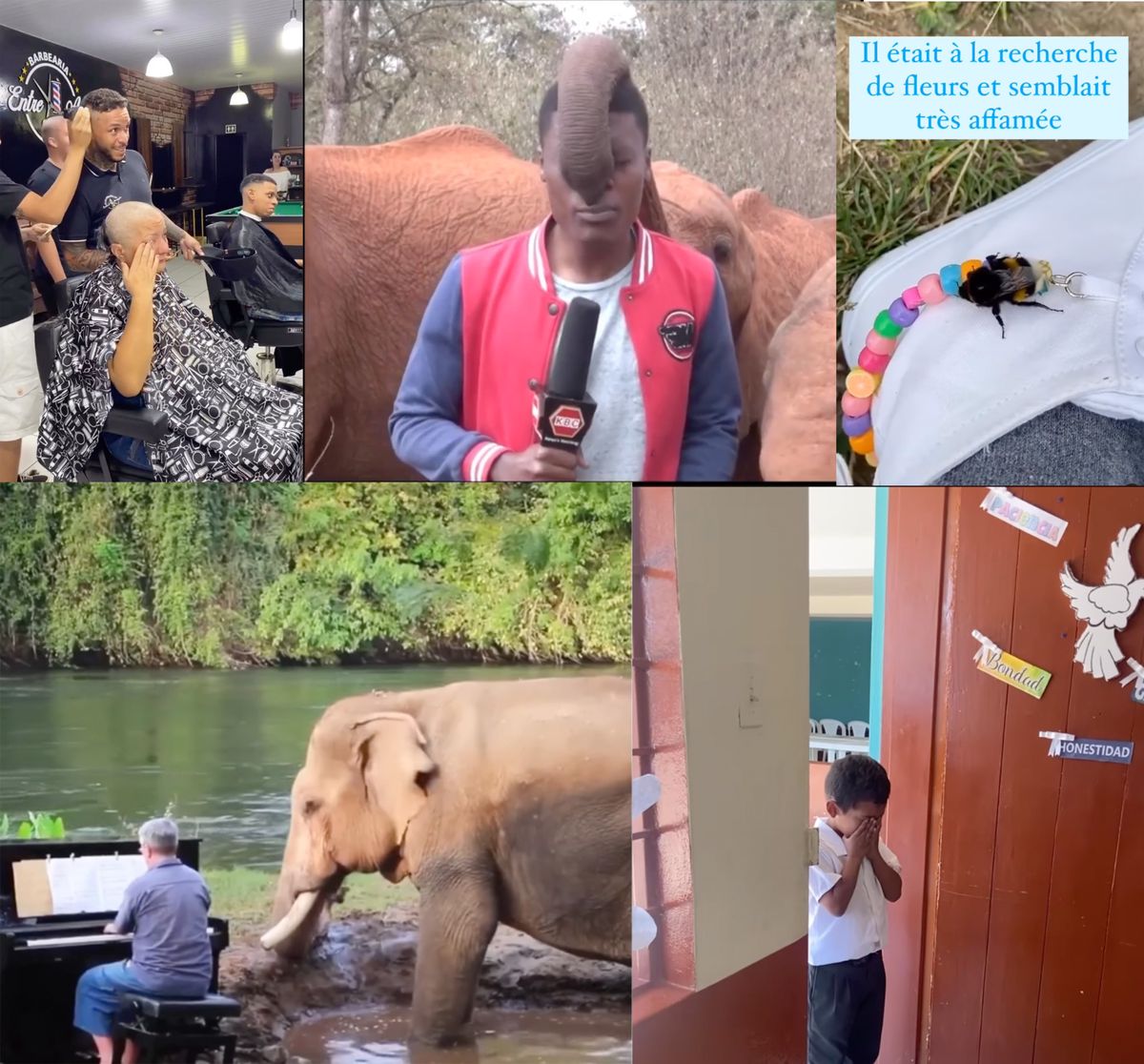 Du positif pour adoucir ces heures grises