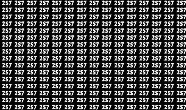 2S7 so weit das Auge reicht – oder doch nicht?