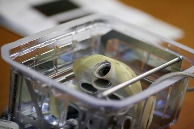 Ce cœur artificiel présente la particularité d'être couvert «biomatériaux» tirés de tissus animaux, à l'intérieur, afin d'éviter d'avoir à donner au malade des anticoagulants.