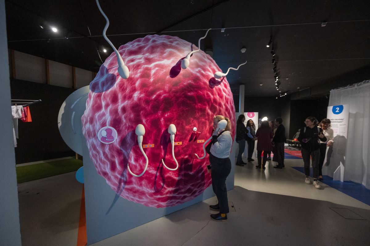 2novembre 2023   Lausanne   Briser les tabous concernant la période périnatale   Exposition au Musée de la main qui tient à tordre le cou à différents stéréotypes et injonctions sur la grossesse, l'accouchement, la maternité     ICI UN OVULE GEANT ET DES SPERMATOZOIDES      PHOTO: Patrick Martin/24Heures 
