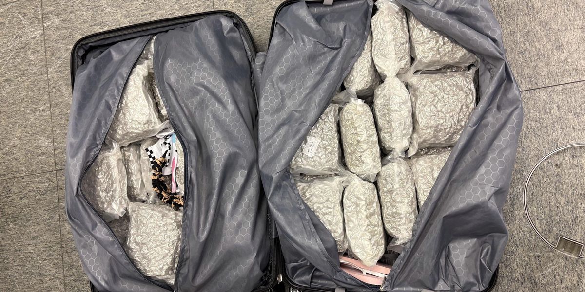 Drug smuggling at Zurich Airport: Police find 750 kilograms of drugs